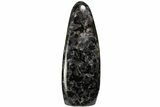 Free-Standing, Polished, Indigo Gabbro - Madagascar #181722-1